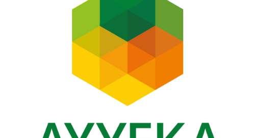 Ayyeka